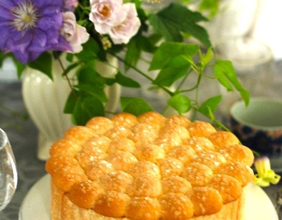 シャルロットフレーズ